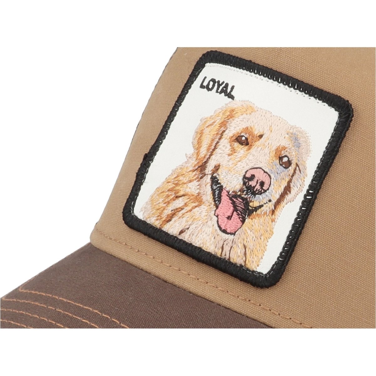 Goorin Brothers The Loyal Dog Cap - Curtis & Dunne