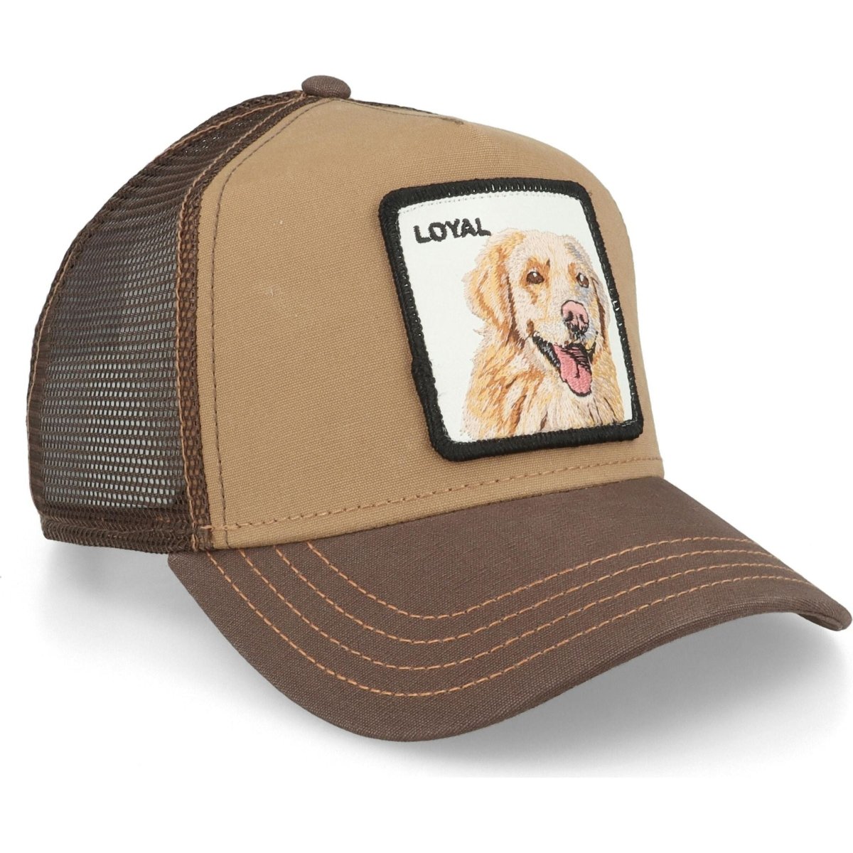 Goorin Brothers The Loyal Dog Cap - Curtis & Dunne