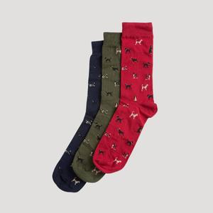 Barbour Dog Socks Multipack Giftset