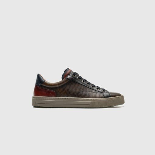 Ambitious Anopolis Lace Up Sneaker - Curtis & Dunne