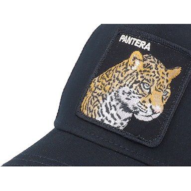 Goorin Brothers V2 Pantera Cap - Curtis & Dunne