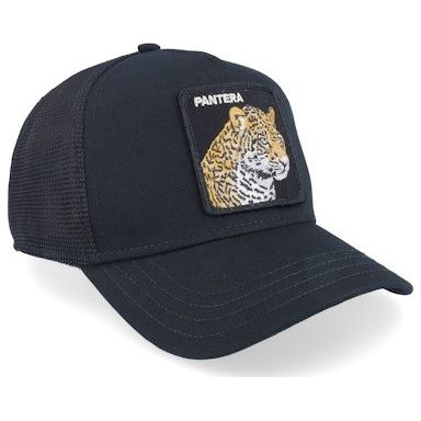 Goorin Brothers V2 Pantera Cap - Curtis & Dunne