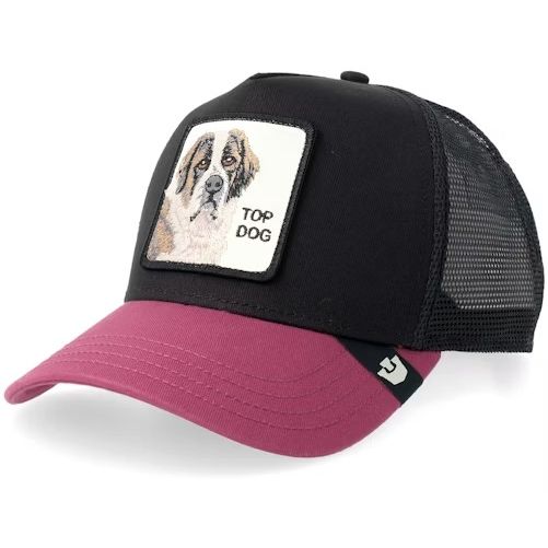 Goorin Brothers The Top Dog Cap