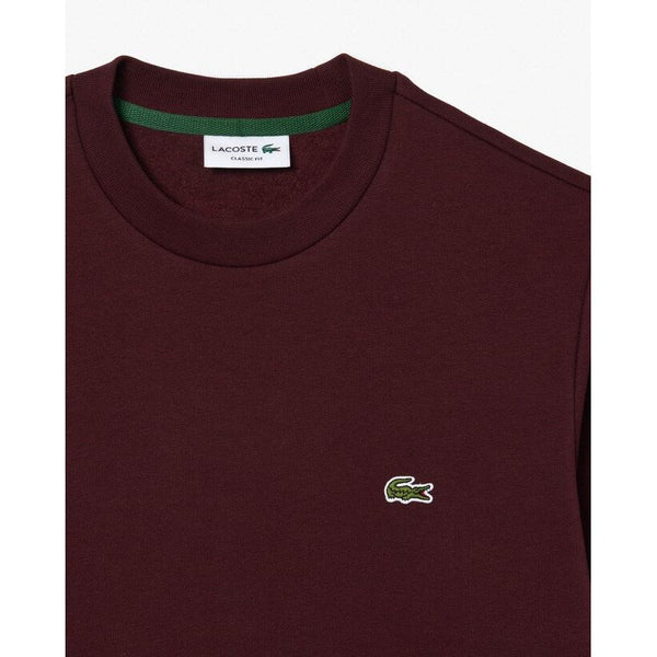 Lacoste Organic Brushed Cotton Sweat - Curtis & Dunne