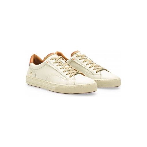 Ambitious Anopolis Lace Up Sneaker - Curtis & Dunne