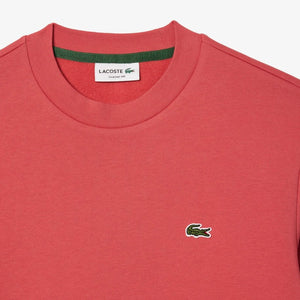 Lacoste Organic Brushed Cotton Sweat - Curtis & Dunne